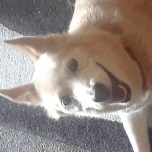 Meet your Posher, Kellie